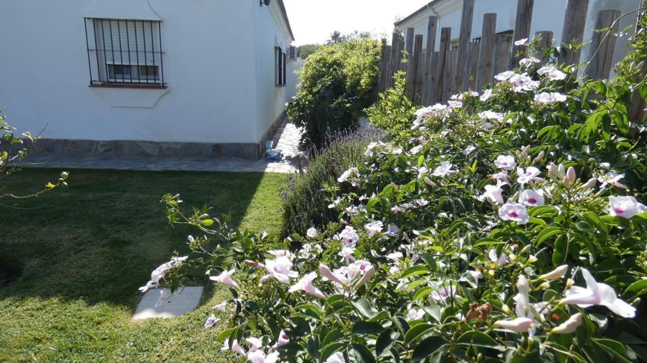 Villa Lolo De Design Con Piscina, Jardin Y Parking Exclusivo Chiclana de la Frontera Extérieur photo