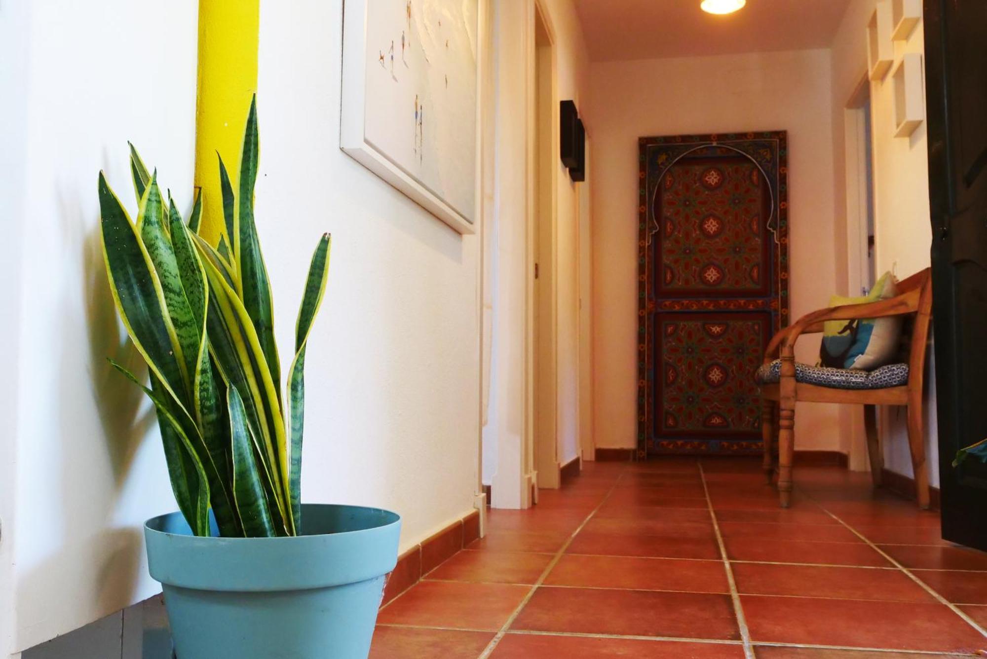 Villa Lolo De Design Con Piscina, Jardin Y Parking Exclusivo Chiclana de la Frontera Extérieur photo
